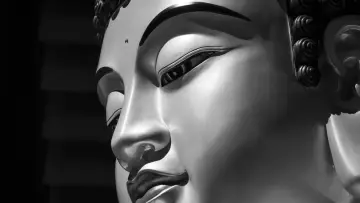 Backdrop to the movie "The Great Buddha+" #415342