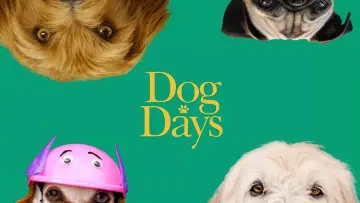 Backdrop to the movie "Dog Days" #1073528