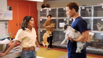 Backdrop to the movie "Dog Days" #1073539