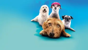 Backdrop to the movie "Dog Days" #1073544