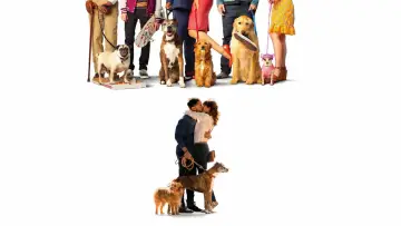 Backdrop to the movie "Dog Days" #1073547
