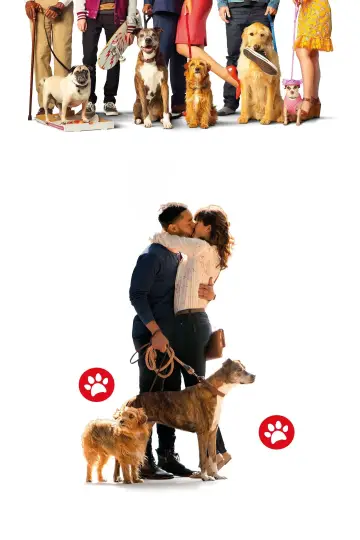 Poster to the movie "Dog Days" #1073575
