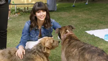 Backdrop to the movie "Dog Days" #440396