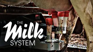 Backdrop to the movie "The Milk System" #1615819