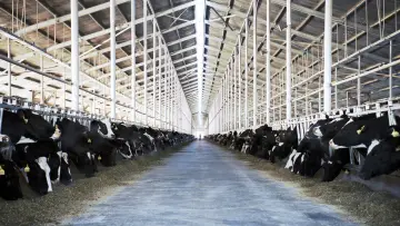 Backdrop to the movie "The Milk System" #1615821