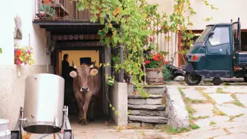 Backdrop to the movie "The Milk System" #1615825