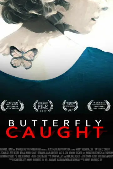 Poster to the movie "Butterfly Caught" #733482