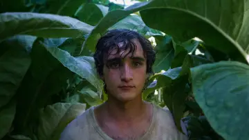 Backdrop to the movie "Happy as Lazzaro" #987910