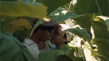 Backdrop to the movie "Happy as Lazzaro" #987912