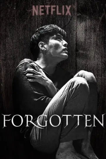 Poster to the movie "Forgotten" #930252