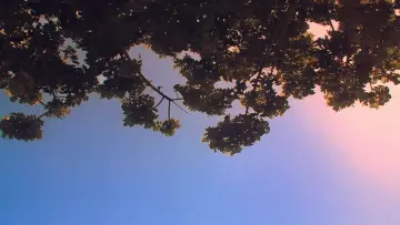 Backdrop to the movie "It