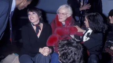 Backdrop to the movie "Studio 54" #1192033