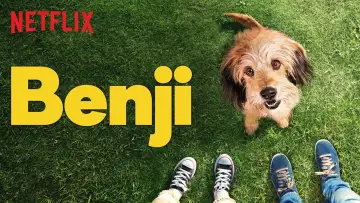 Backdrop to the movie "Benji" #1042922