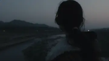 Backdrop to the movie "An Elephant Sitting Still" #506129