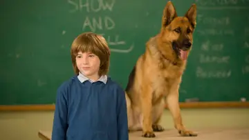 Backdrop to the movie "Cool Dog" #1129193