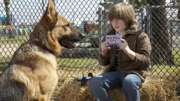 Backdrop to the movie "Cool Dog" #1129194