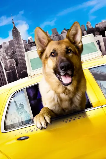 Poster to the movie "Cool Dog" #1129203
