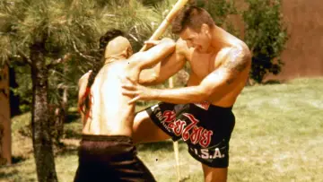 Backdrop to the movie "Kickboxer 4: The Aggressor" #1088954