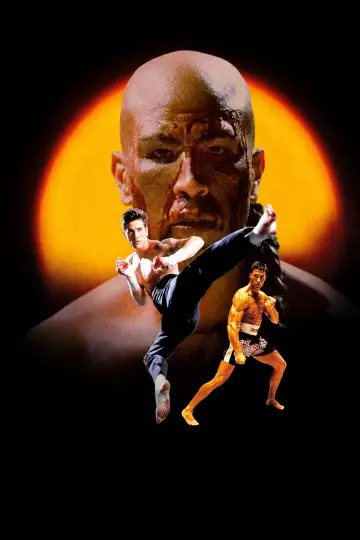 Poster to the movie "Kickboxer 4: The Aggressor" #1088964