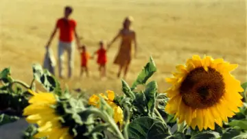 Backdrop to the movie "Happiness" #490338