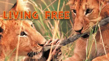 Backdrop to the movie "Living Free" #742308