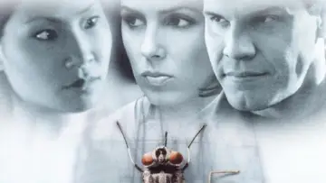 Backdrop to the movie "Flypaper" #1569509
