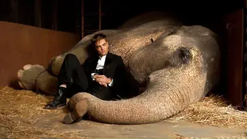 Backdrop to the movie "Water for Elephants" #993173