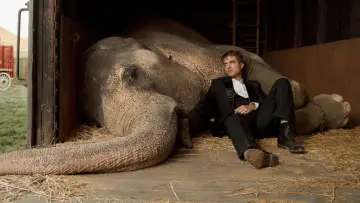Backdrop to the movie "Water for Elephants" #993174