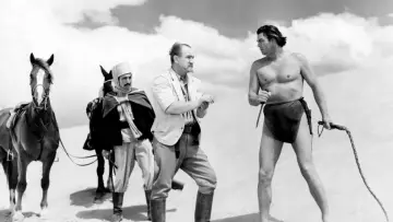 Backdrop to the movie "Tarzan
