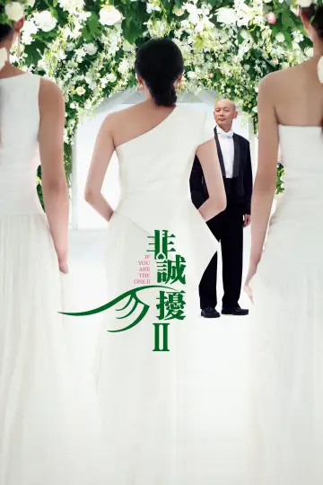 Poster to the movie "If You Are the One 2" #1017173