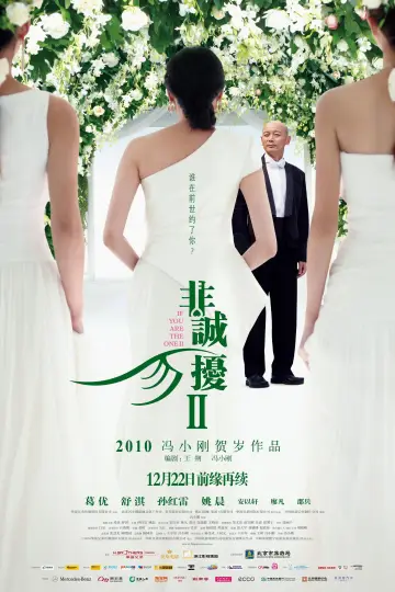 Poster to the movie "If You Are the One 2" #1017175