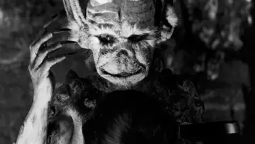 Backdrop to the movie "Häxan" #384016