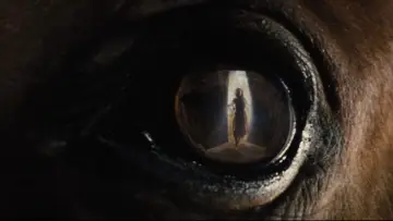 Backdrop to the movie "War Horse" #719024