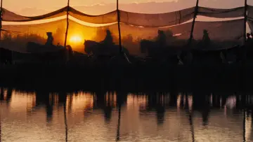 Backdrop to the movie "War Horse" #930688
