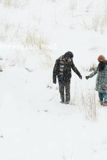 Poster to the movie "Norwegian Wood" #1009440