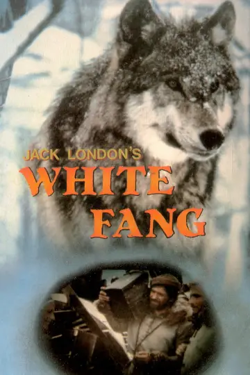 Poster to the movie "White Fang" #1116820