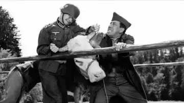 Backdrop to the movie "The Cow and I" #1144740