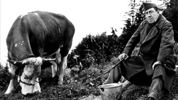 Backdrop to the movie "The Cow and I" #1144741