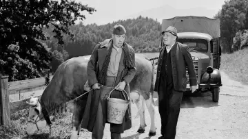 Backdrop to the movie "The Cow and I" #1144744