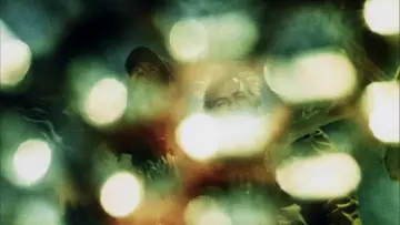 Backdrop to the movie "Phase IV" #1021587