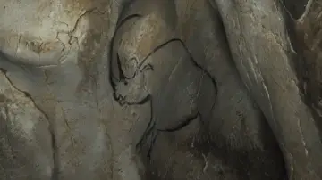 Backdrop to the movie "Cave of Forgotten Dreams" #428564