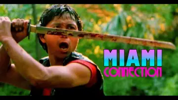 Backdrop to the movie "Miami Connection" #540492