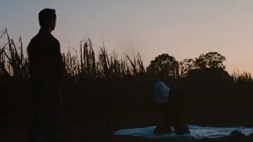 Backdrop to the movie "Looper" #696835