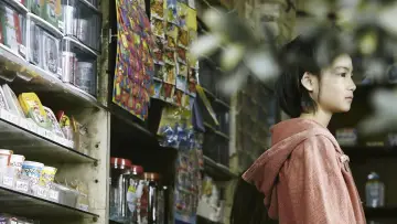 Backdrop to the movie "Shoplifters" #852869