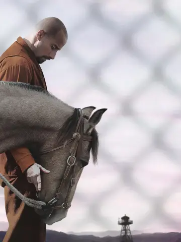 Poster to the movie "The Mustang" #993433