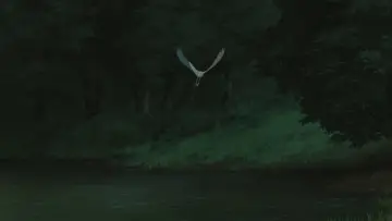 Backdrop to the movie "The Boy and the Heron" #838730