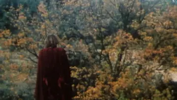Backdrop to the movie "The Amazonian Angel" #1160573