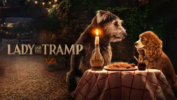 Backdrop to the movie "Lady and the Tramp" #231875