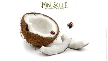 Video for the film Minuscule 2: Mandibles from Far Away — official trailer