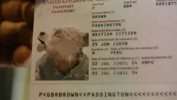 Backdrop to the movie "Paddington in Peru" #567536